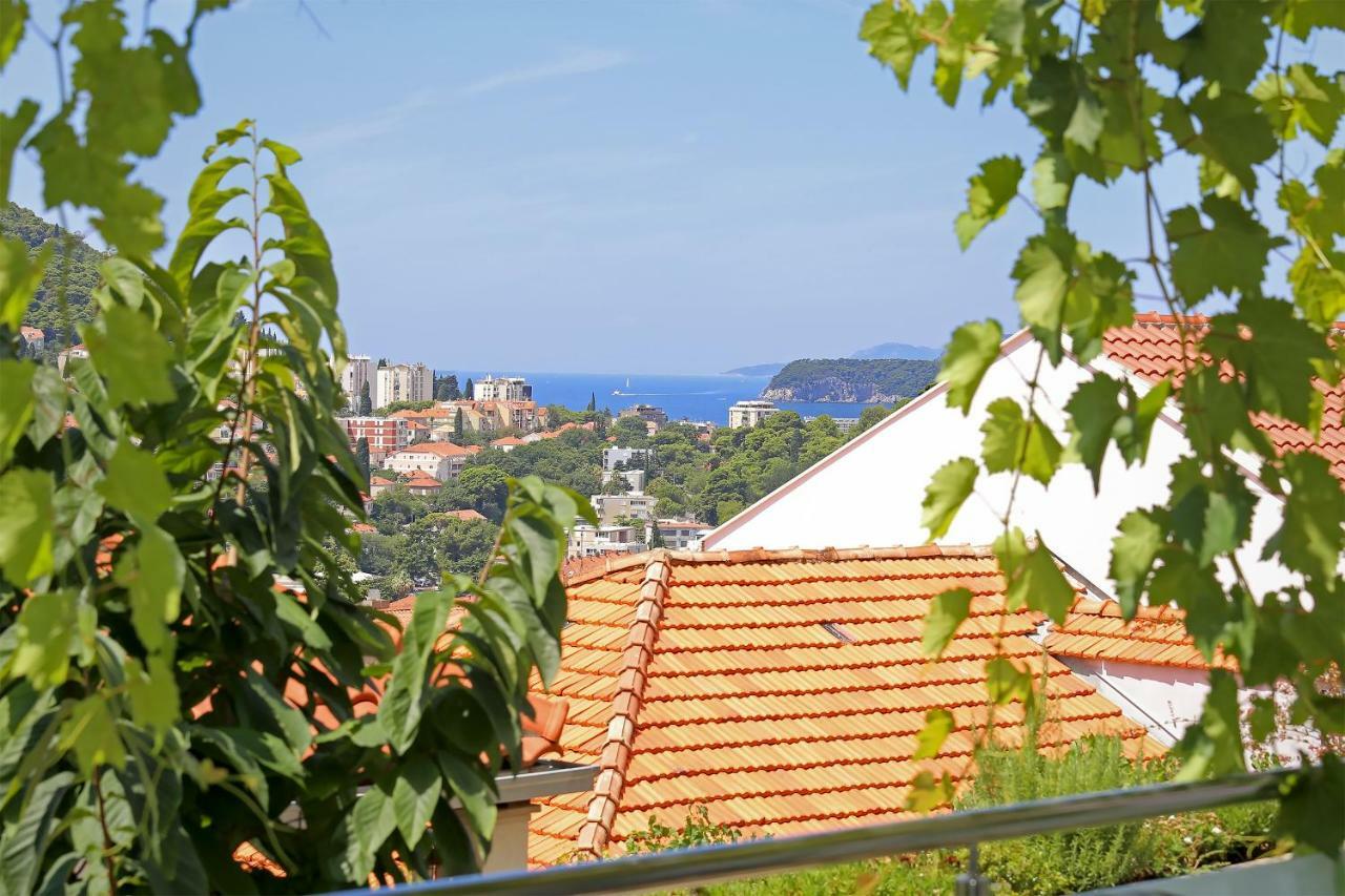 Abelia, Two Terraces, Hot Tub, Free Parking Apartment Dubrovnik